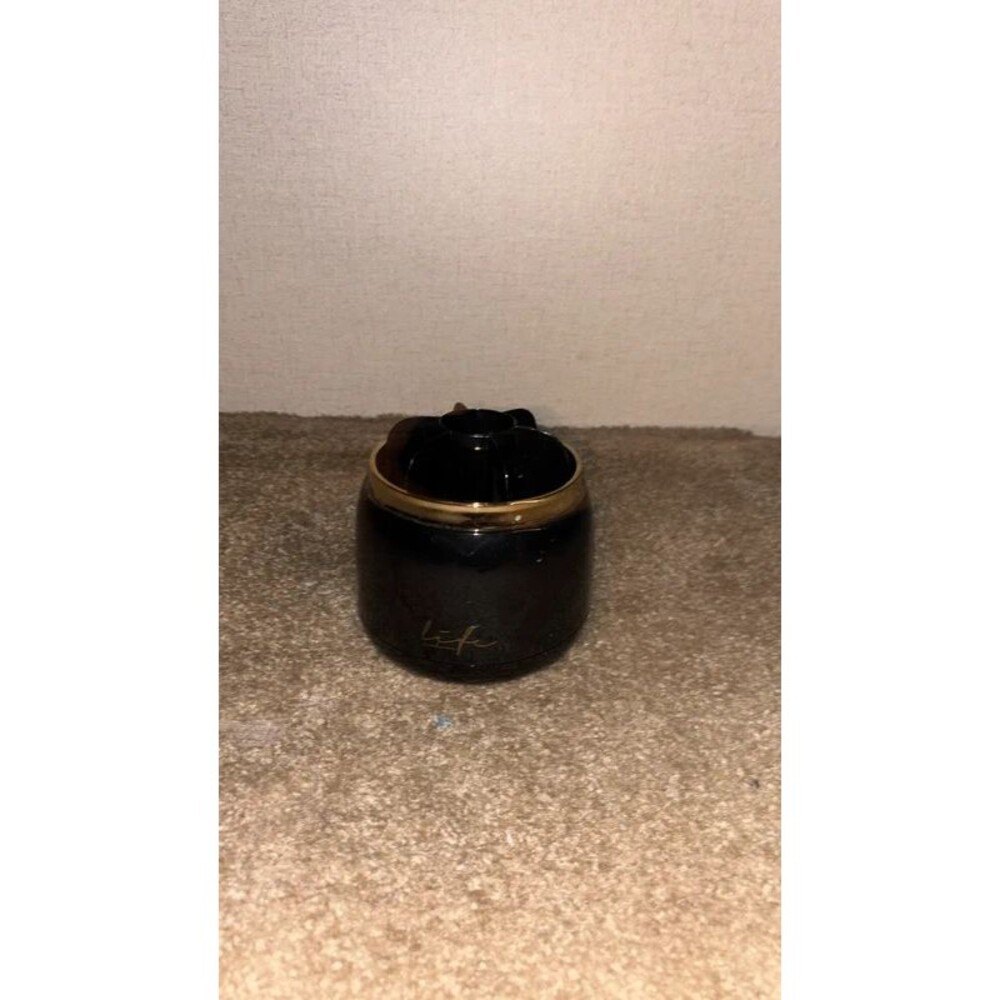 Rotating Brush Bucket